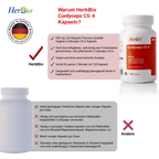 Cordyceps CS-4 500 mg