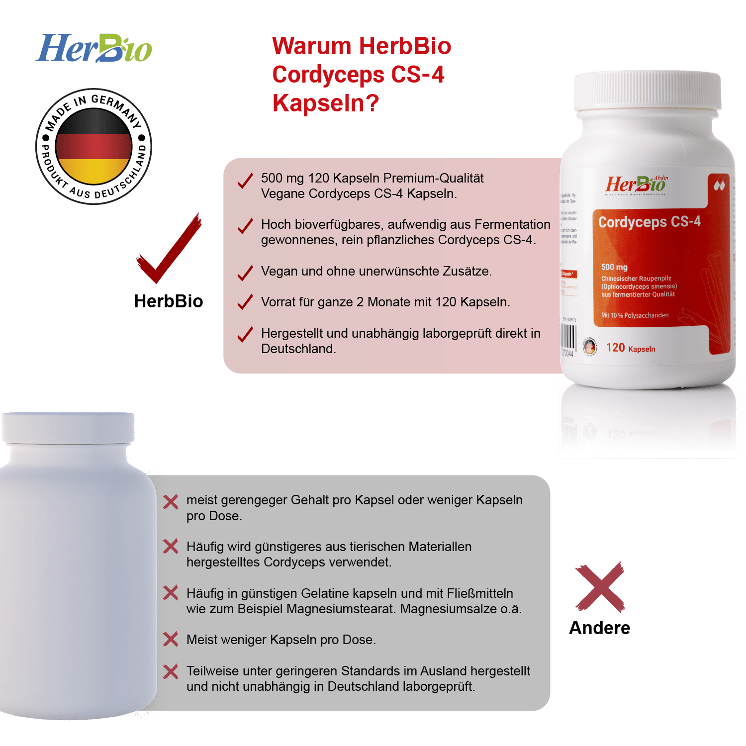 Cordyceps CS-4 500mg