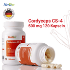 Cordyceps CS-4 500 mg