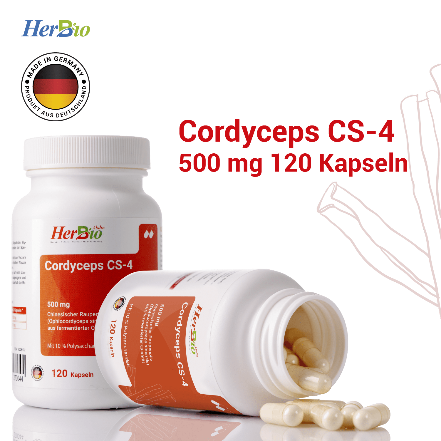Cordyceps CS-4 500mg