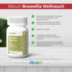 Encens Boswellia 450 mg